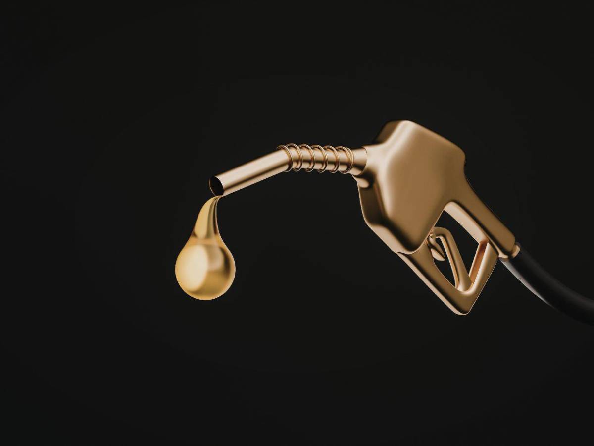 Además de teletrabajo ¿Cómo pueden los consumidores ahorrar combustible?, esto dice la AHDIPPE?