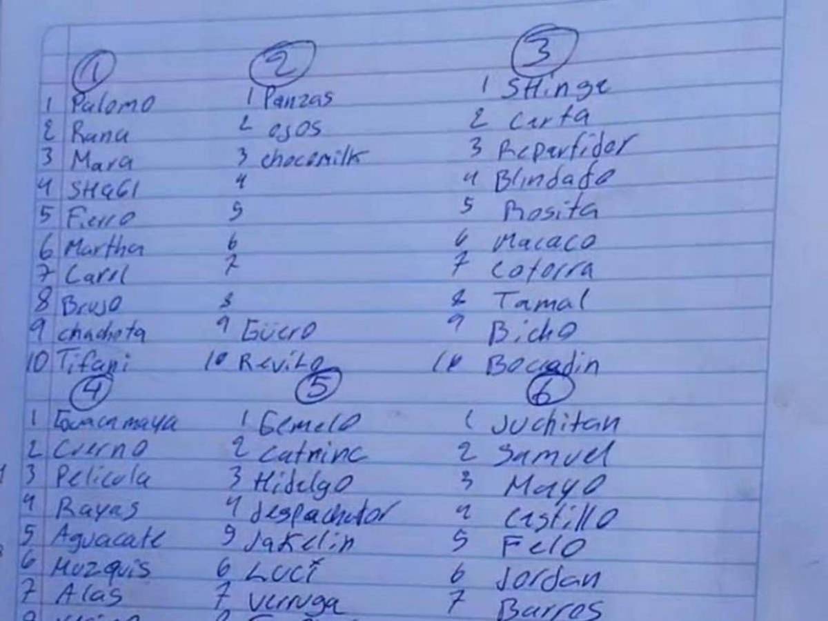 Horror en México: Hallan restos humanos y crematorios en finca del CJNG