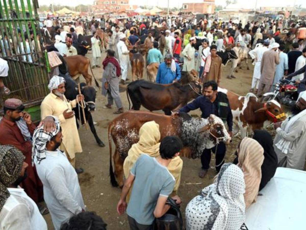 Ataque terrorista contra un tren deja al menos 29 muertos y 102 heridos en Pakistán