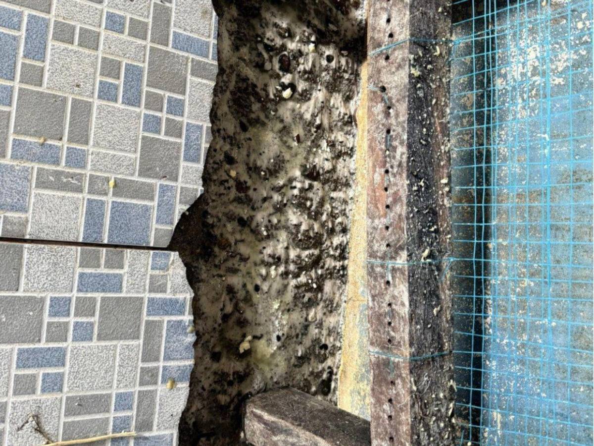 ARSA clausura procesadora de lácteos en Choluteca por falta de higiene