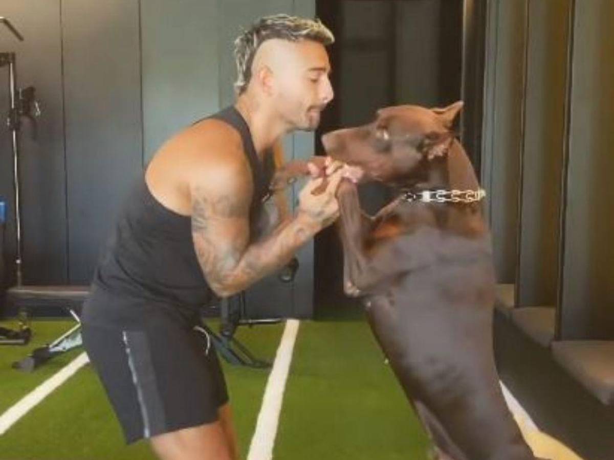 Maluma fue atacado por su dóberman y muestra heridas