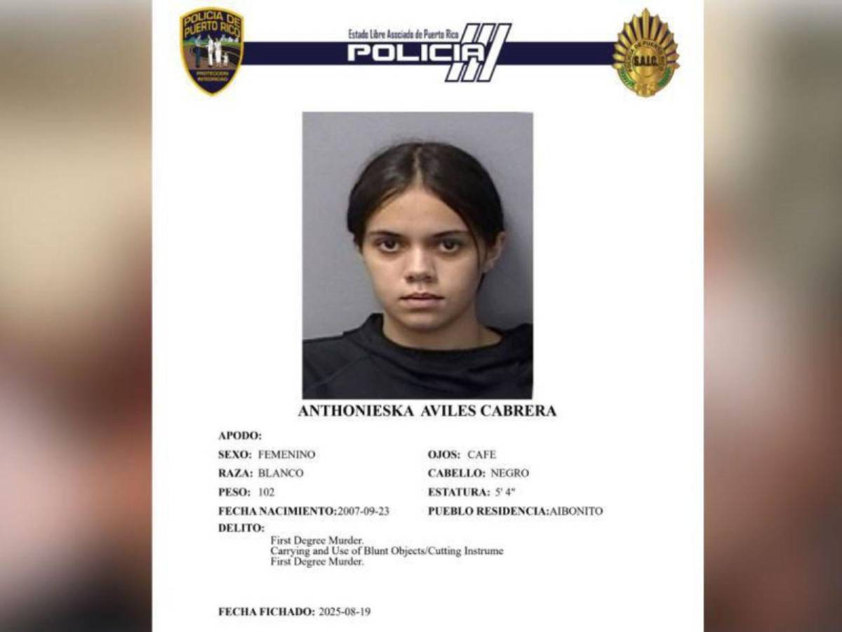 ¿Qué se sabe del caso de Gabriela Nicole Pratts, la adolescente asesinada por sus amigas?