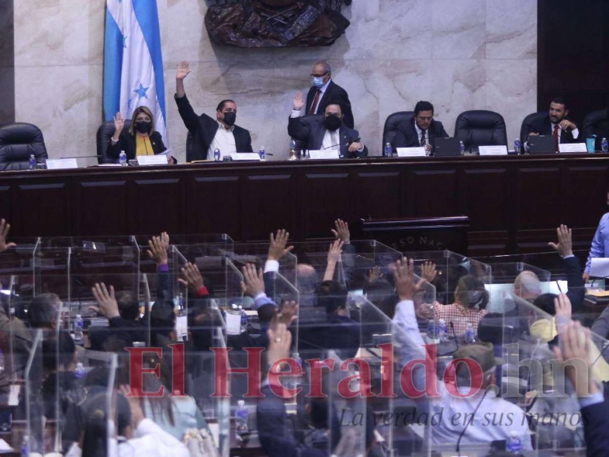 Oposición denuncia uso de diputados suplentes en el Congreso Nacional para aprobar leyes