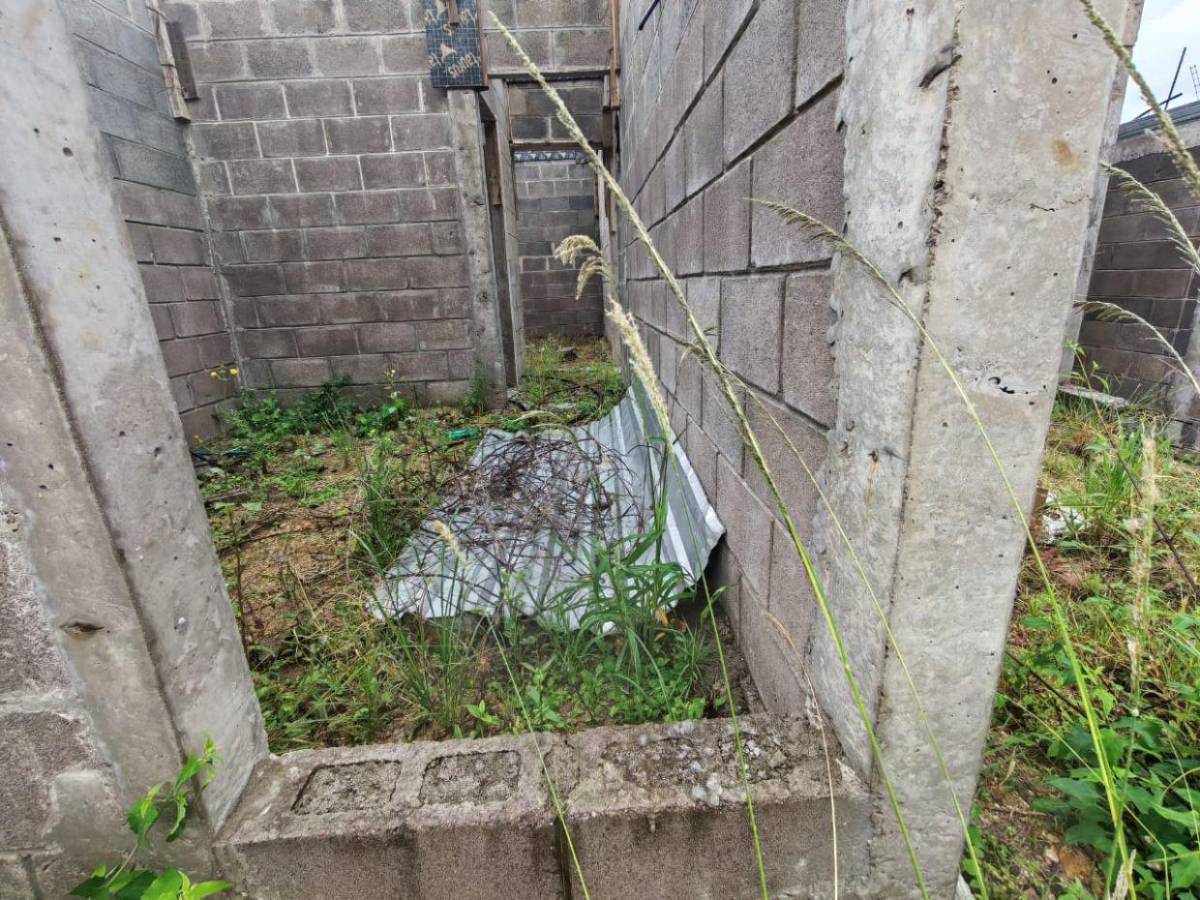 Maleza y abandono rodean el proyecto Villa Solidaridad en el Distrito Central