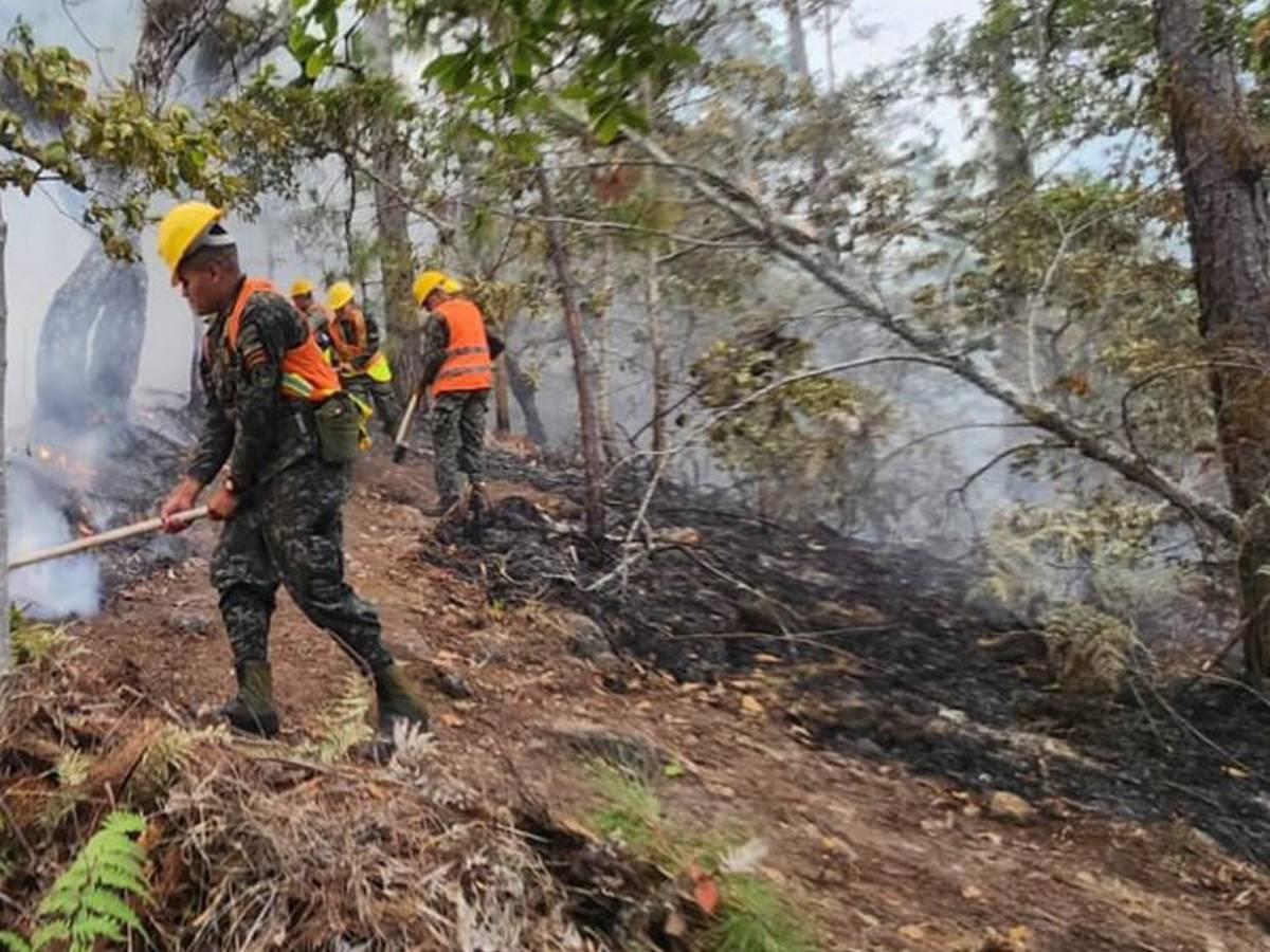Solo durante el fin de semana se registraron 15 incendios forestales en Honduras