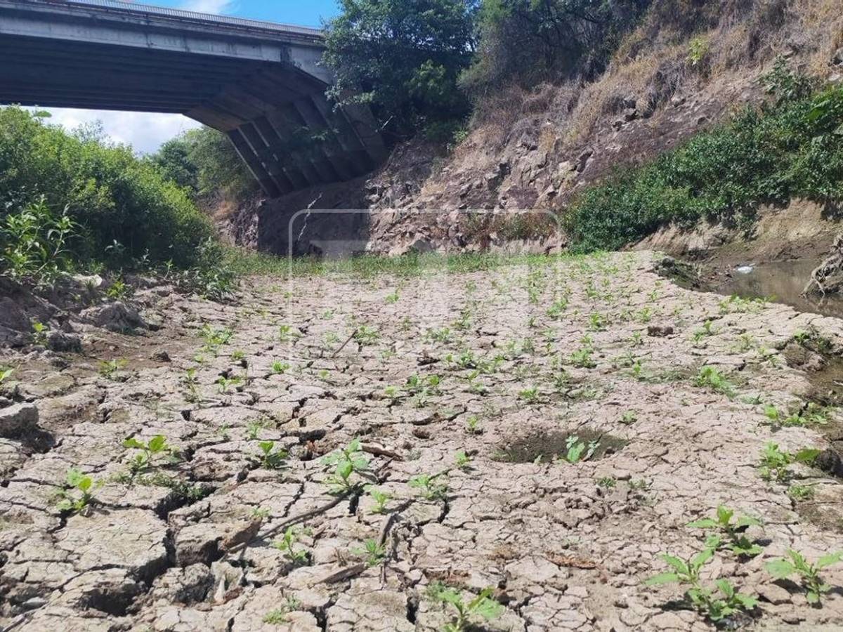 Como un hilo de agua: así está este 7 de septiembre el río Guacerique que agoniza por la sequía