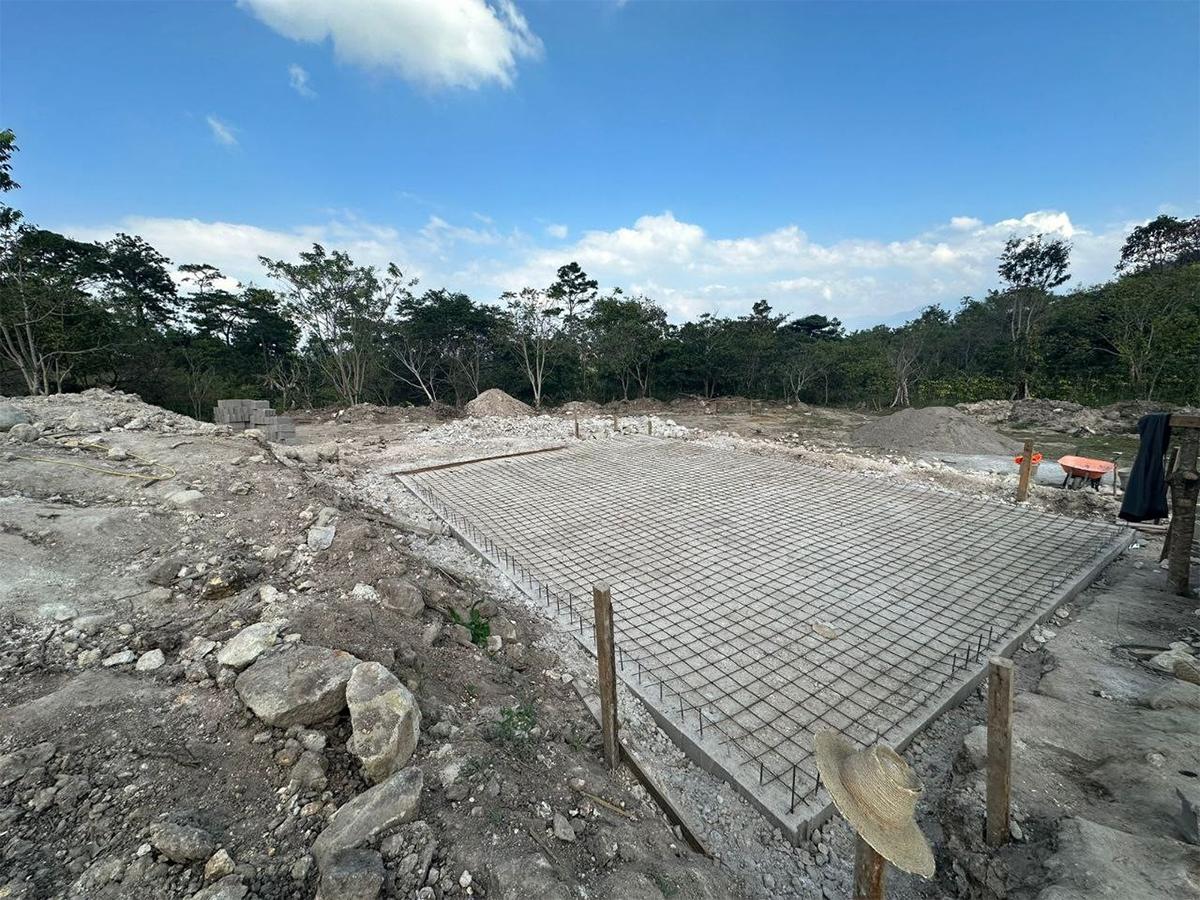 Gobierno impulsa la innovación en la producción y distribución del café a través de Pronaders