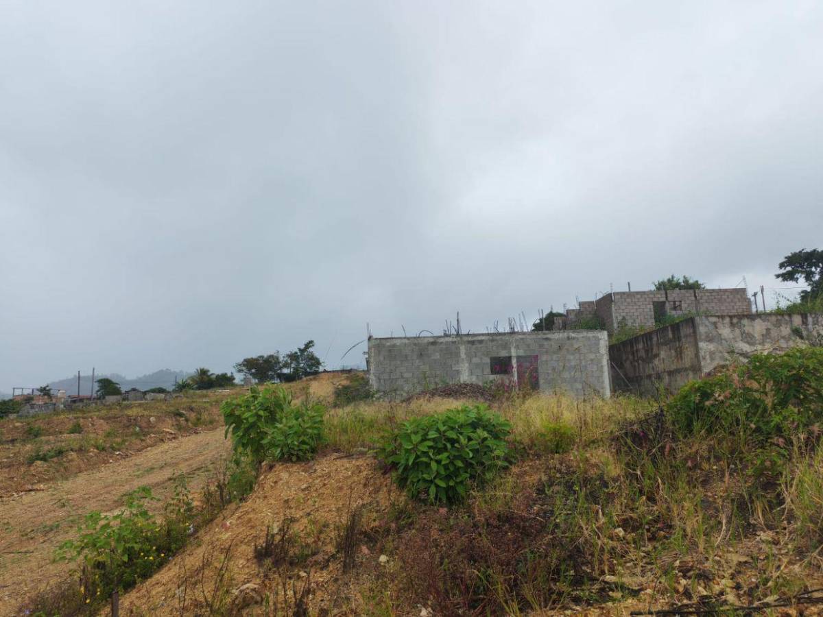 Maleza y abandono rodean el proyecto Villa Solidaridad en el Distrito Central