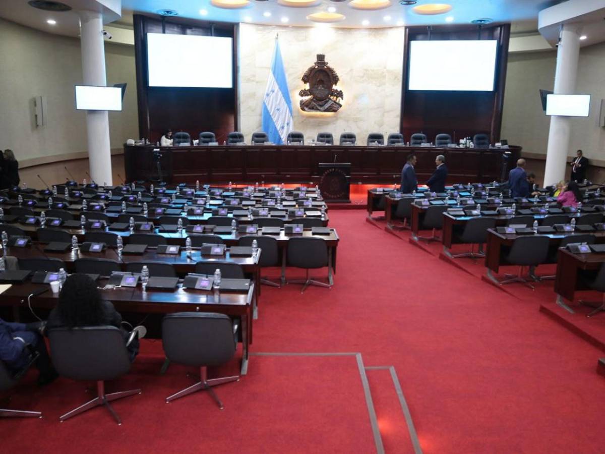 Entre contrapropuestas, Congreso Nacional debate Presupuesto General de 2025