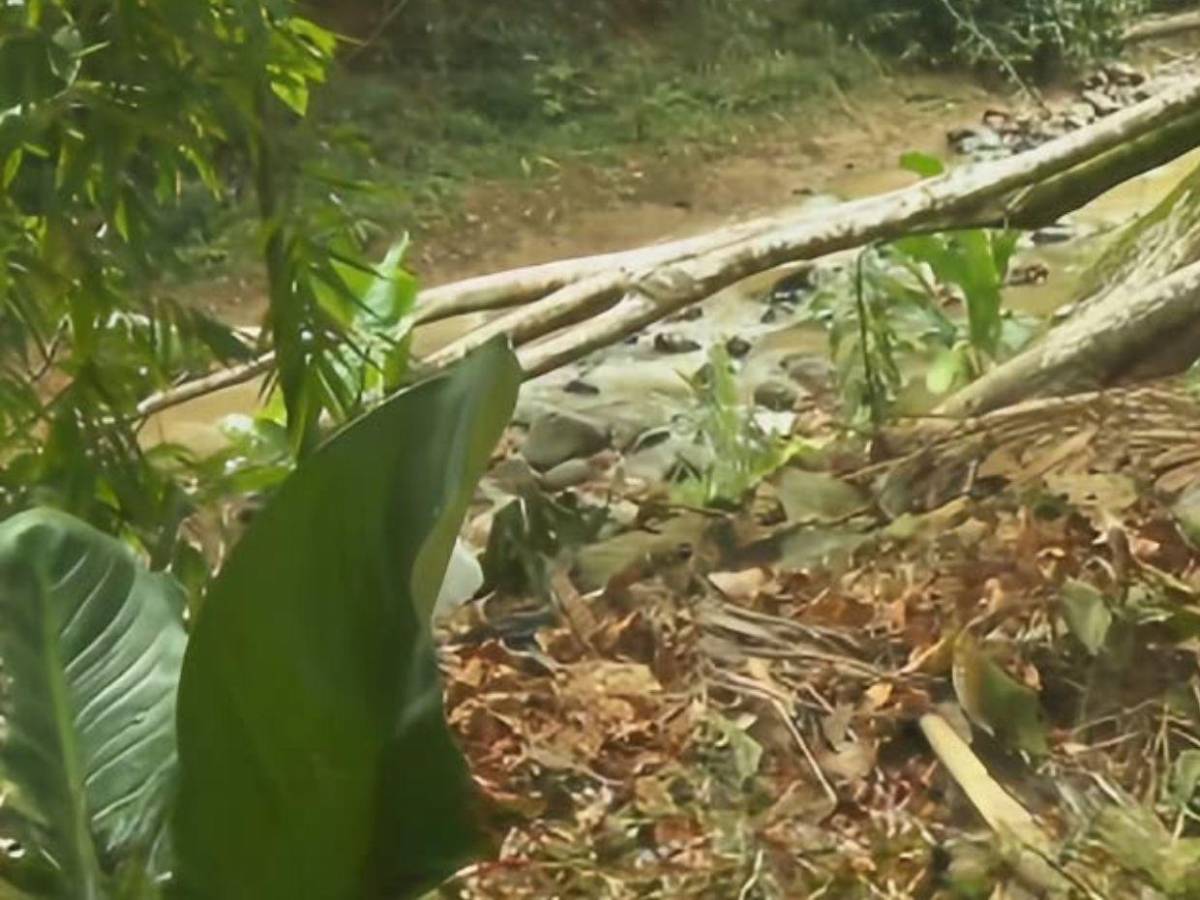 Sin vida y maniatada: así hallaron a María Camila, joven embarazada desaparecida en Colombia