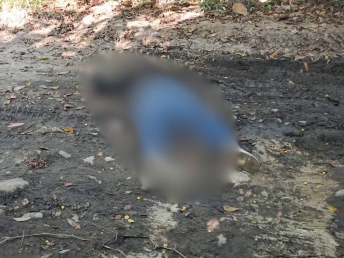 Alejandro Matute, miembro de la Fuerza Naval, asesinado en La Ceiba: ¿Qué se sabe?