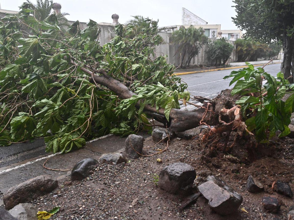 Lluvias torrenciales y fuertes vientos: los devastadores desastres del huracán Melissa en Jamaica