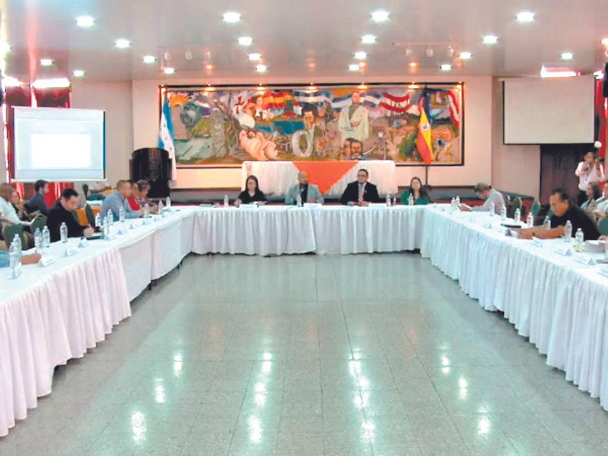 Fuerte rechazo para reglamentar la polémica Ley de Educación Integral