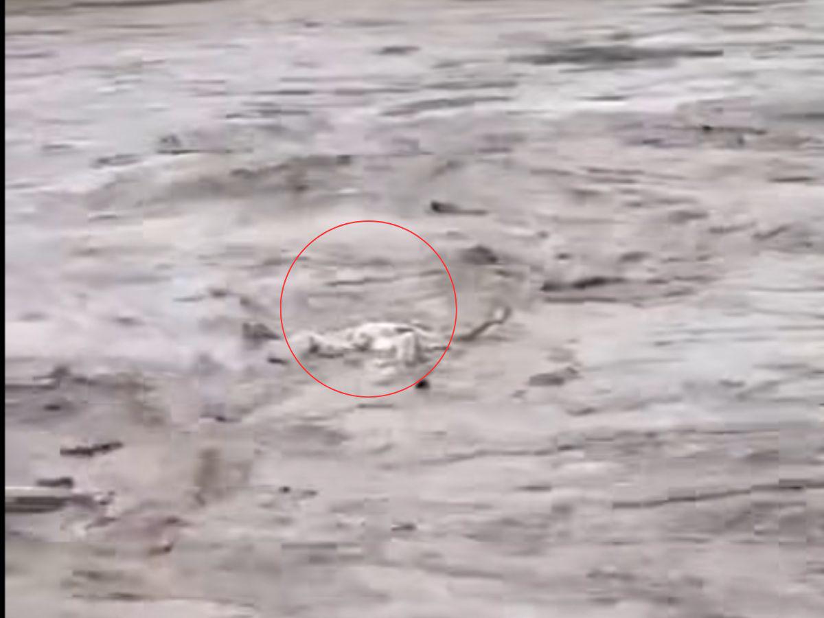 Arrastrado y golpeado por la corriente: así fue hallado un cadáver flotando en el río Ulúa