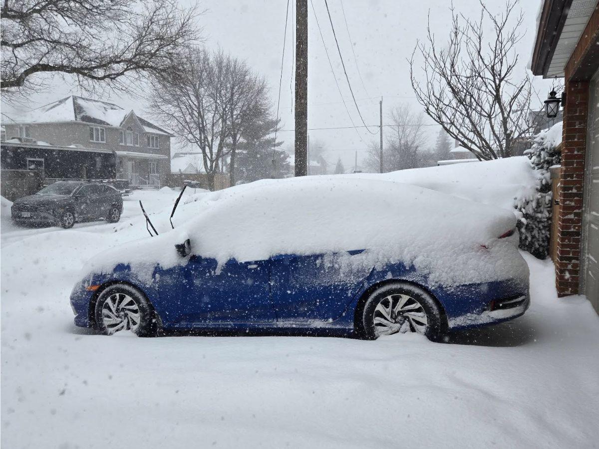 Toronto, la ciudad canadiense paralizada por la caída de 60 centímetros de nieve