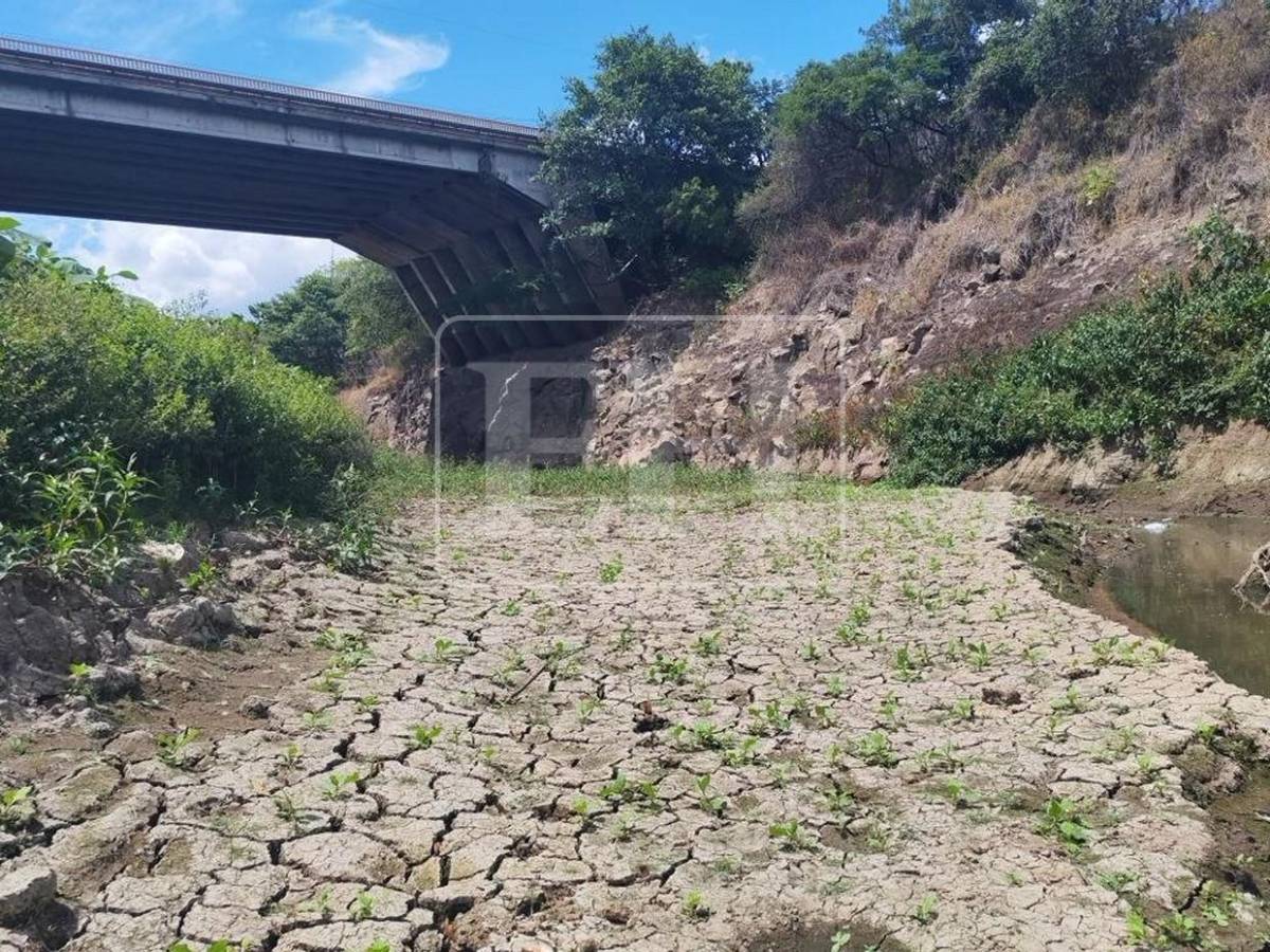 Como un hilo de agua: así está este 7 de septiembre el río Guacerique que agoniza por la sequía
