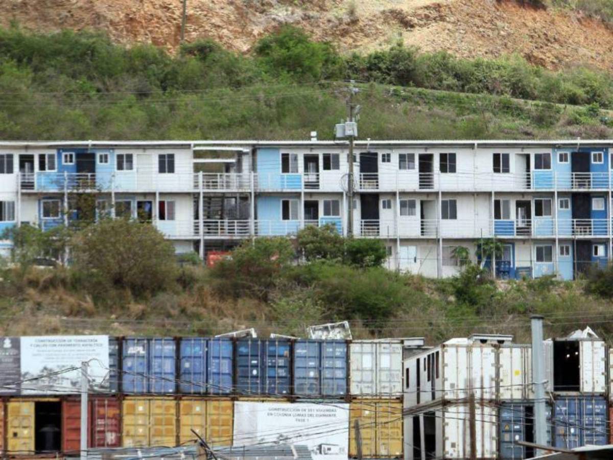 Se robaron los sanitarios y las casas son habitadas por vacas: crisis en Lomas del Diamante