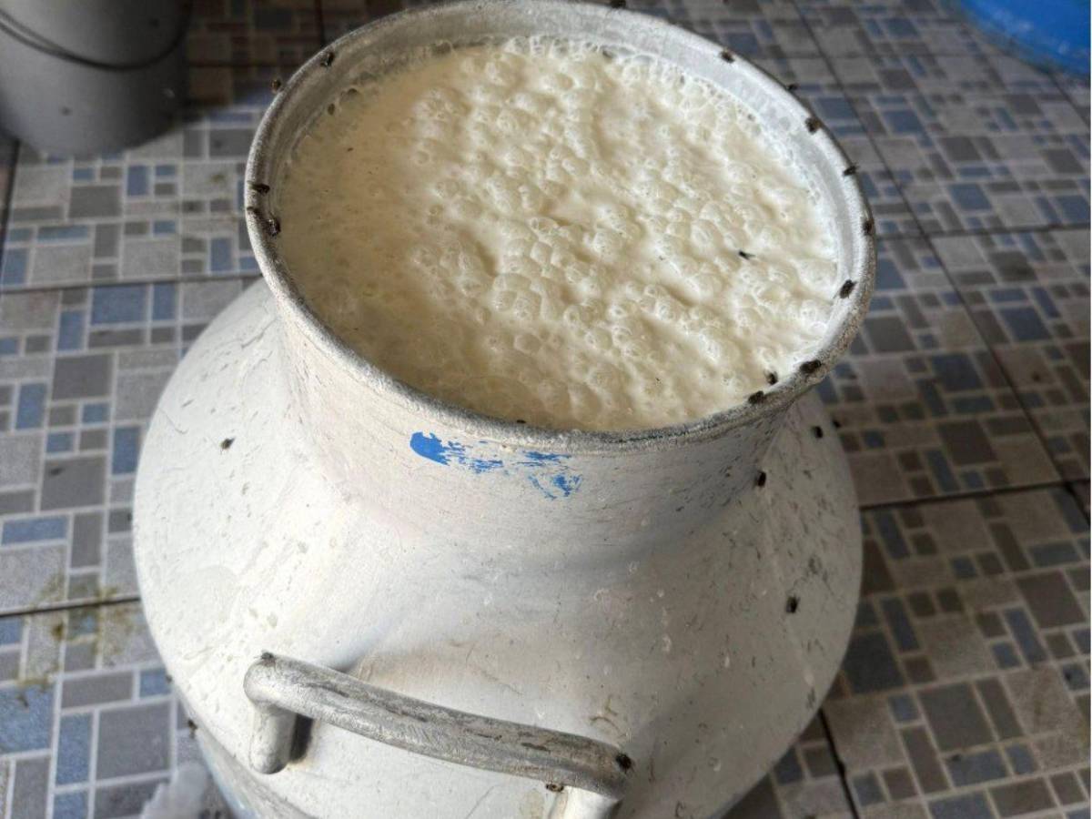 ARSA clausura procesadora de lácteos en Choluteca por falta de higiene