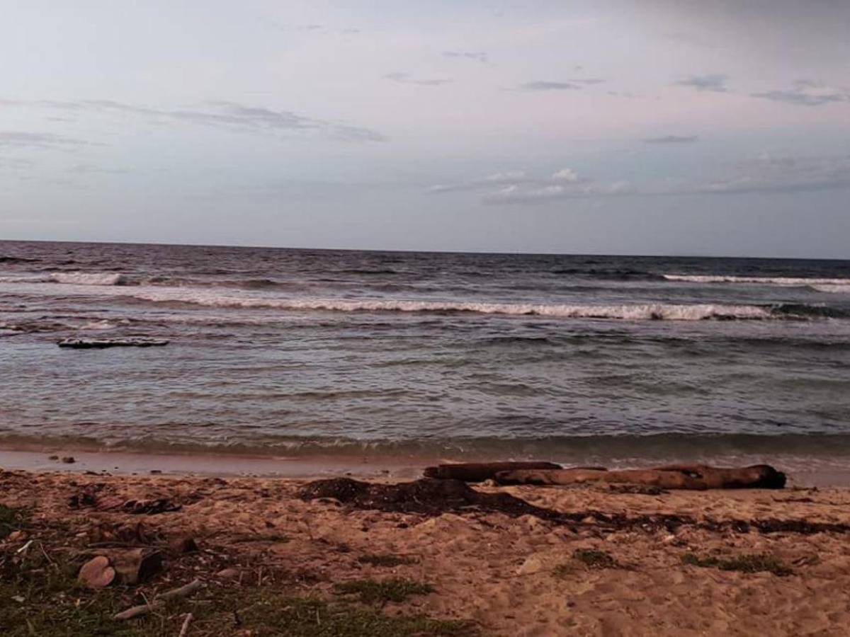 Sin rastro de Nigel y sigue la búsqueda: lo último del pescador desaparecido entre Utila y Roatán