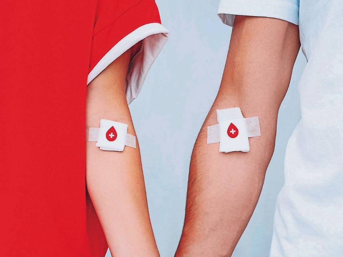 ¿Cuáles son los requisitos y el protocolo para donar sangre?
