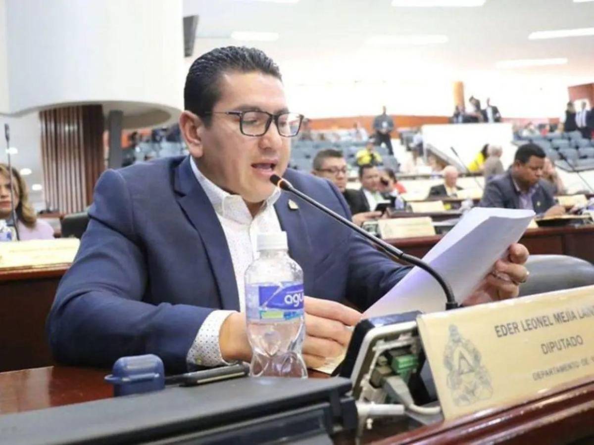 Ellos son los diputados que integran la comisión especial contra Johel Zelaya