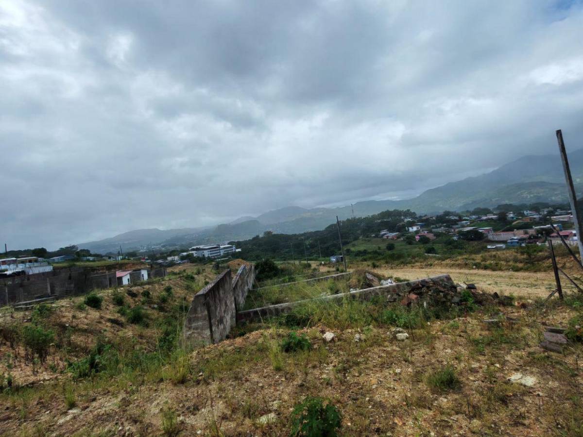 Maleza y abandono rodean el proyecto Villa Solidaridad en el Distrito Central