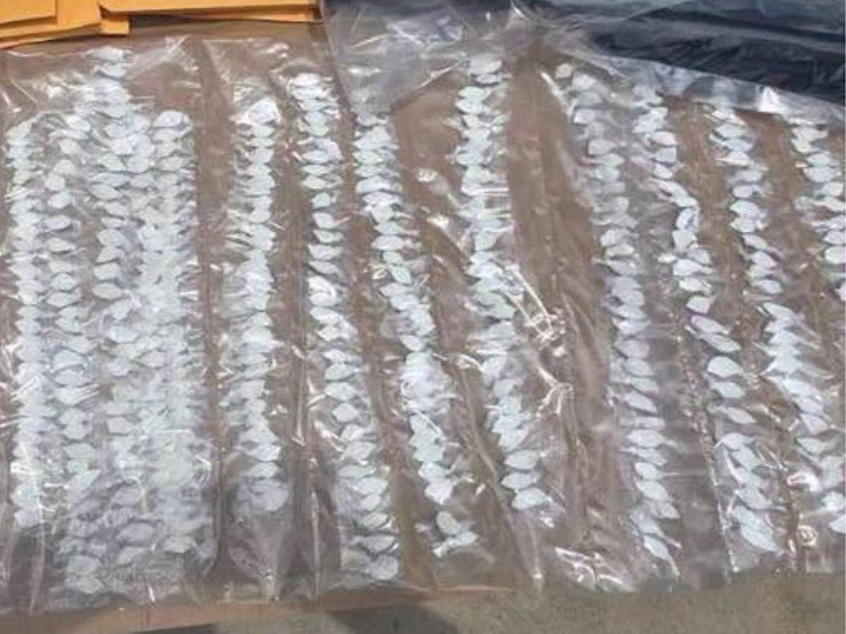 Altar de la 'Santa Muerte', armas y drogas: hallazgos durante allanamiento de Los Kiwis