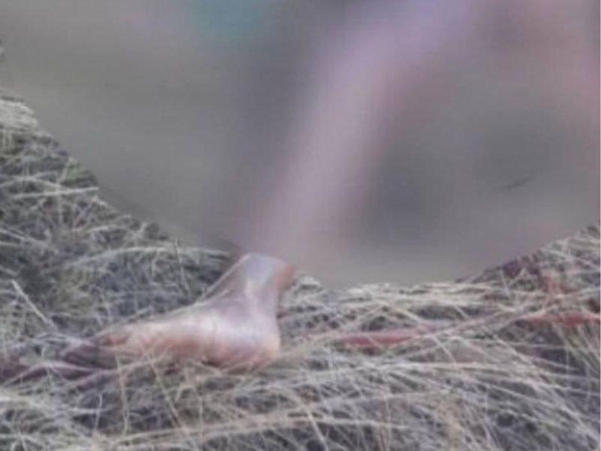 La habrían torturado: ¿cómo hallaron el cuerpo de Angie Galeas en la colonia 14 de Enero?