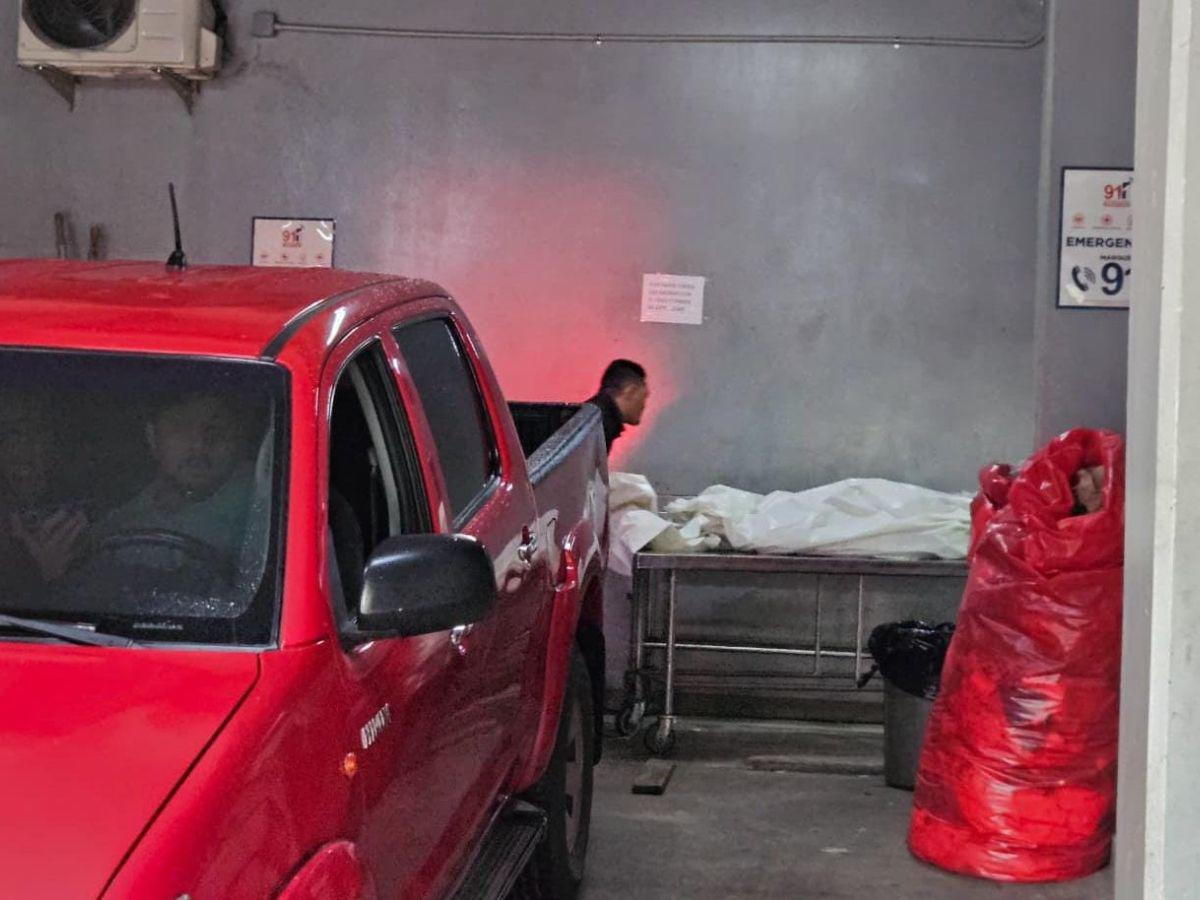 La mordió en el cuello mientras jugaba: Así fue como un perro mató a Marbella Aguilar de 4 años