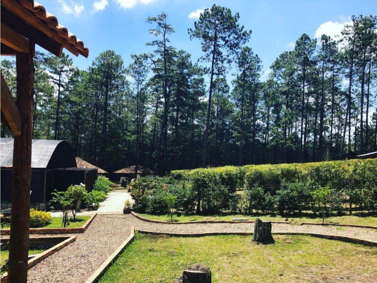 Parque Obrero reabre sus puertas: horarios de atención en Semana Santa