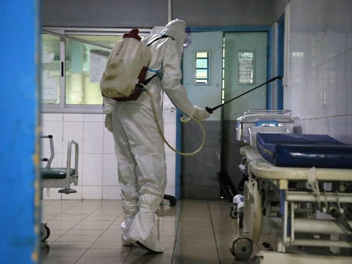 Alerta internacional: la OMS teme que brote de ébola en el Congo se propague