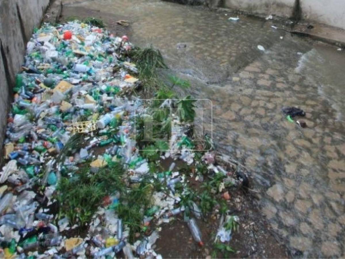 Basura en quebrada El Sapo aumenta riesgo de inundaciones en la 3 de Mayo