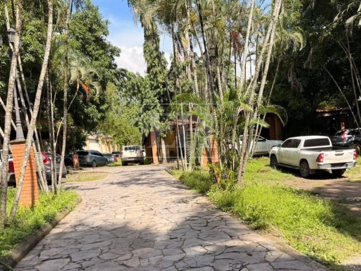 Hallaron municiones, cocaína, marihuana y piedra: así es la vivienda allanada a agentes de la DAET