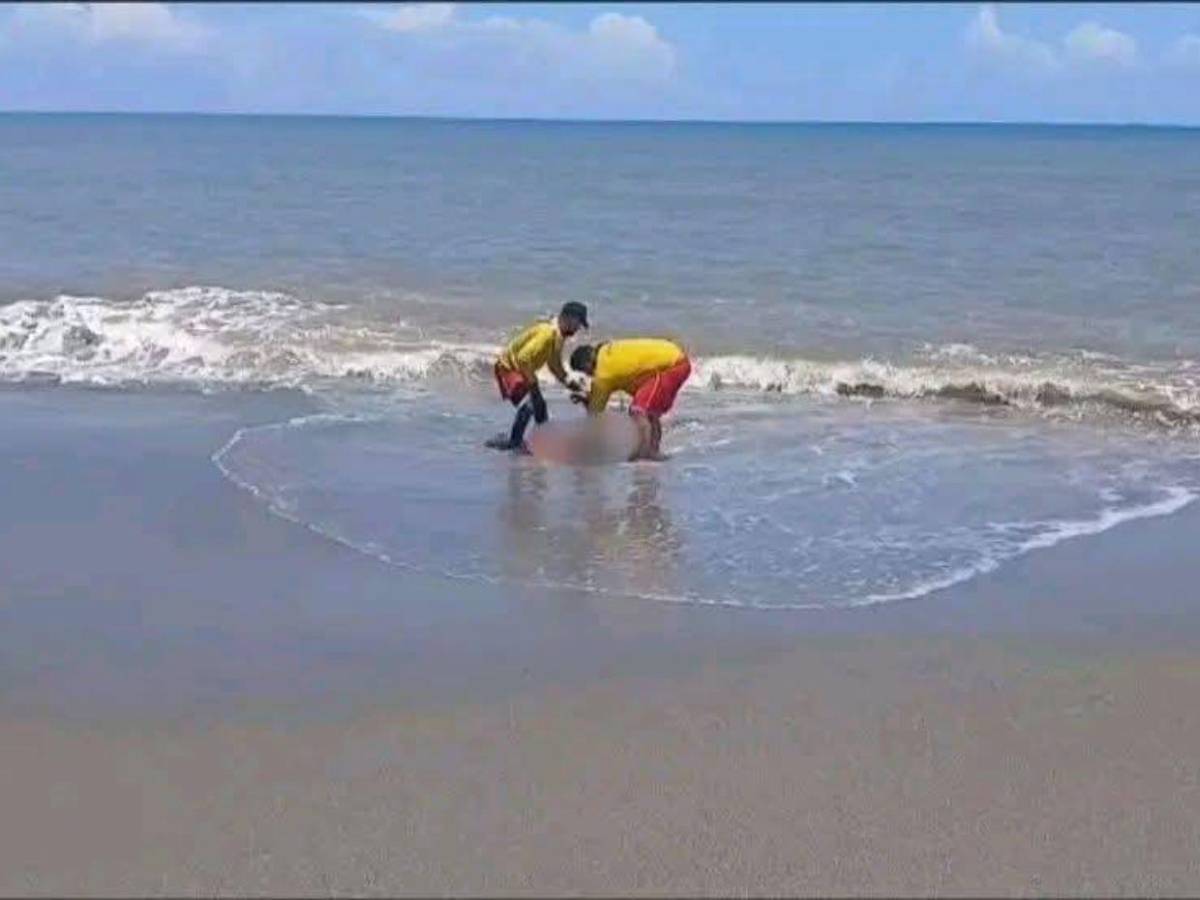 Trabajaba en una lavandería: Víctor Velázquez, hallado flotando en playas de La Ceiba