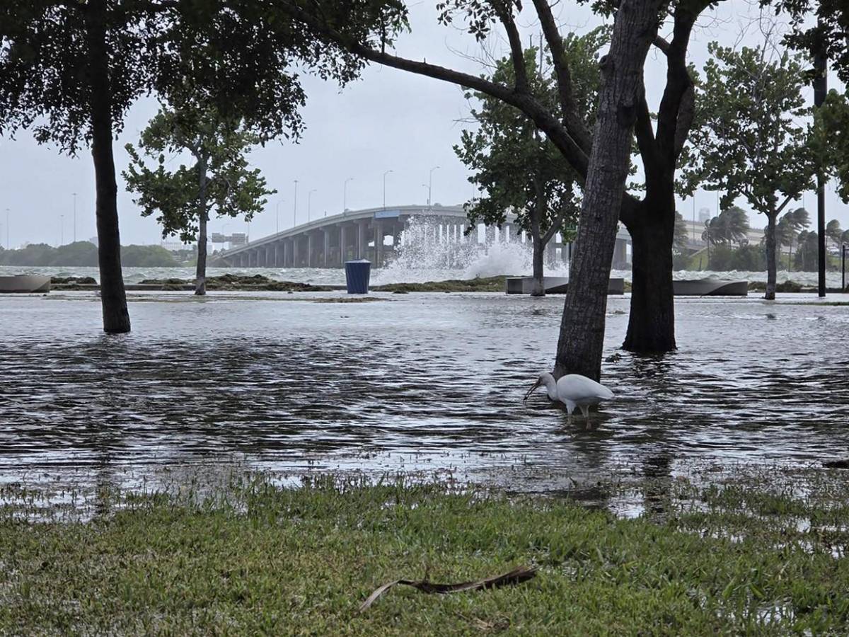 Marea extraordinaria pone en alerta de inundación al sureste de Florida