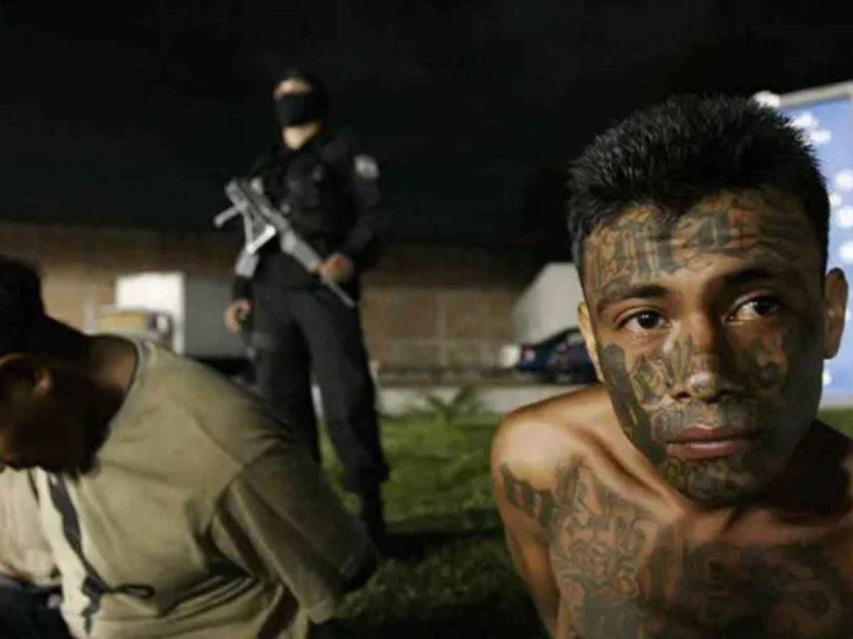 Declaran terroristas a la MS-13, Pandilla 18 y Cartel del Diablo: Los duros castigos para sus miembros