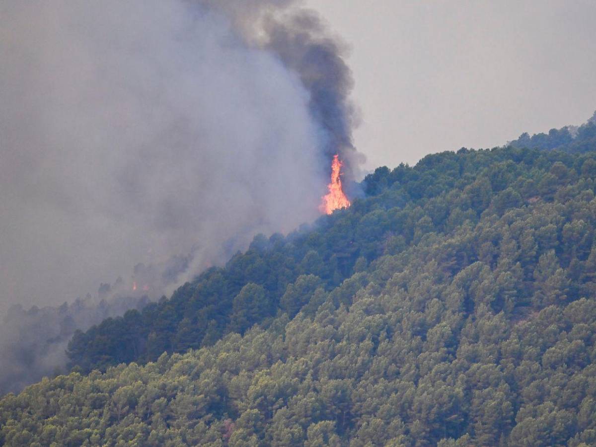 160 kilómetros de destrucción: el paisaje negro del peor incendio de la historia de España