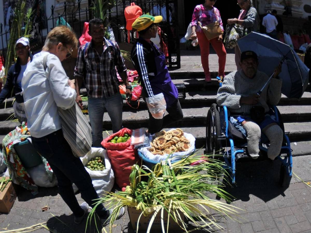 Palmas de olivo anuncian llegada de Semana Santa en la capital Palmas de olivo anuncian llegada de Semana Santa en la capital
