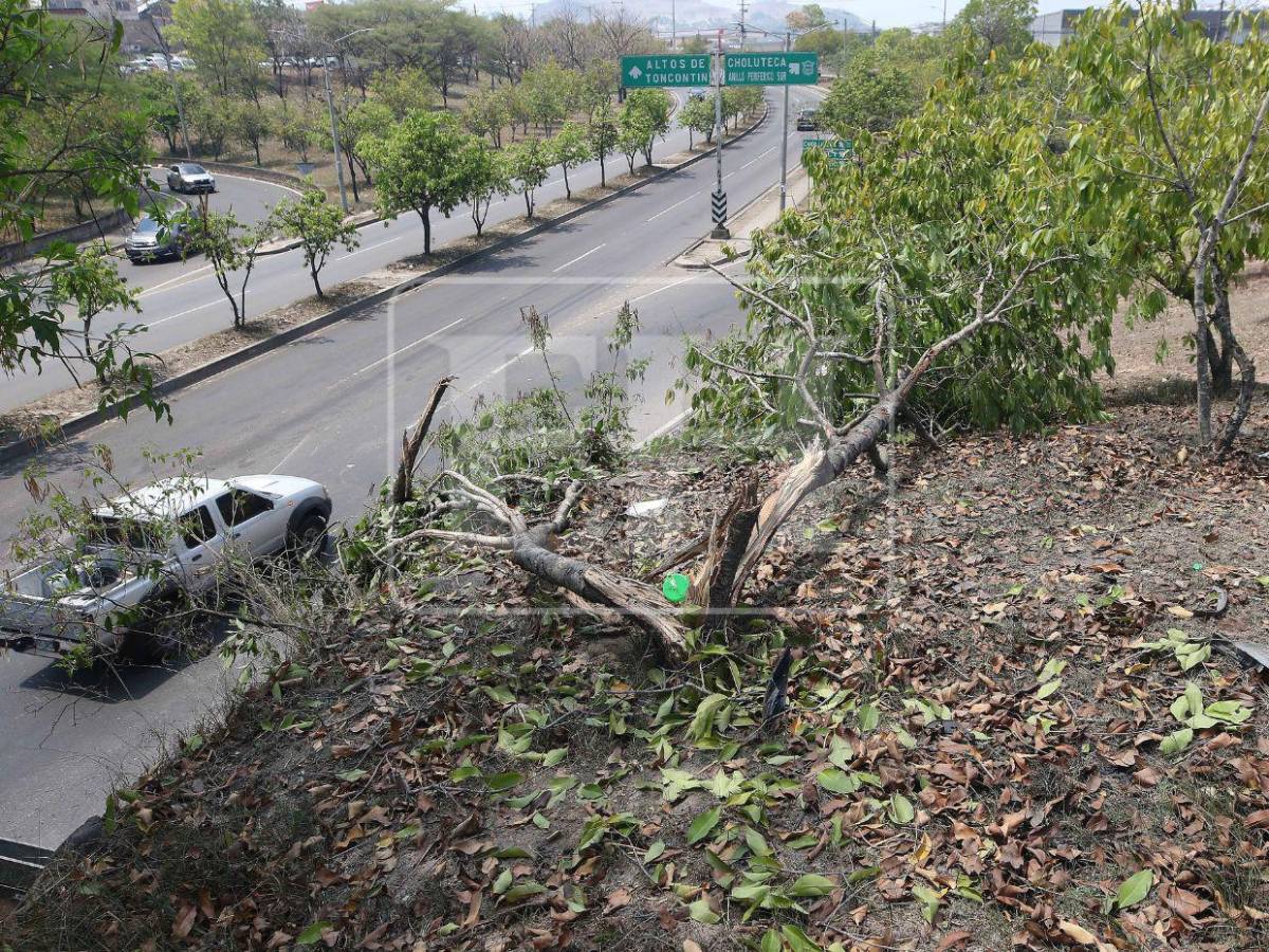 Jonathan tomó el vehículo de su padre sin permiso para salir con amigos y murió en accidente