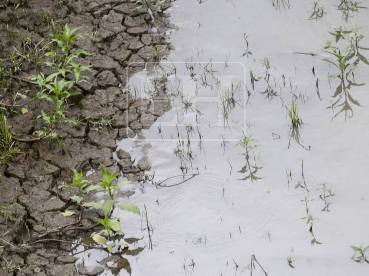 Las imágenes que anuncian una crisis hídrica histórica en la capital