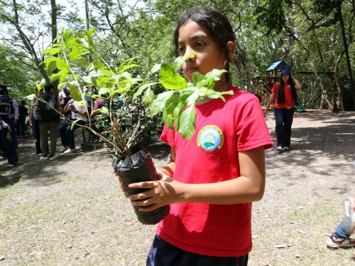 Amor por la naturaleza: Líderes ecológicos reforestaron el parque Juana Laínez