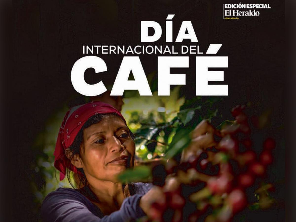 Celebremos el Día Internacional del Café, aromas y montañas que conectan el mundo