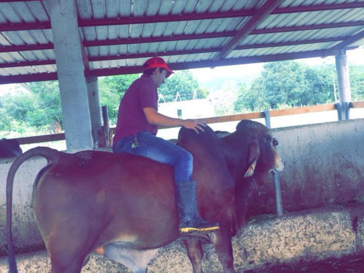 Dos sicarios y nueve casquillos: Así ocurrió asesinato de juez de Policía Kevin Erasmo