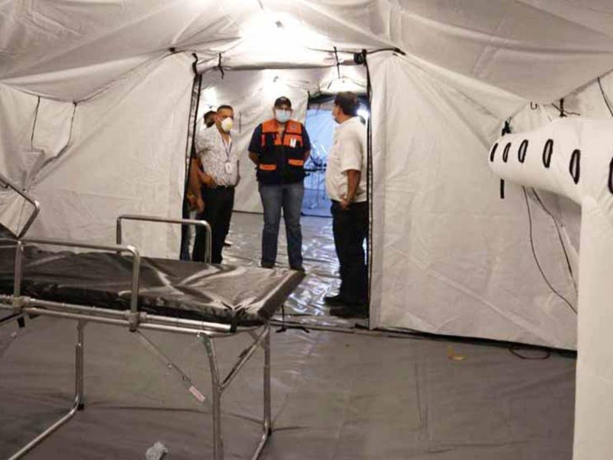 Alba Consuelo Flores: de ministra de Salud a imputada por el caso  hospitales móviles