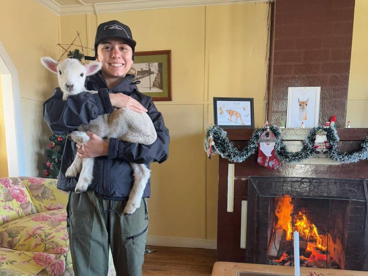 Farid Dieck y Jessica Fernández en polémica: Me impresiona haber vuelto contigo