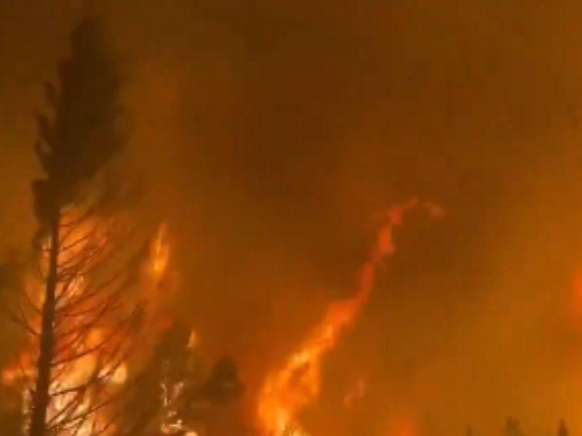 Imágenes de la Patagonia: el fuego arrasa 45,000 hectáreas y amenaza residencias