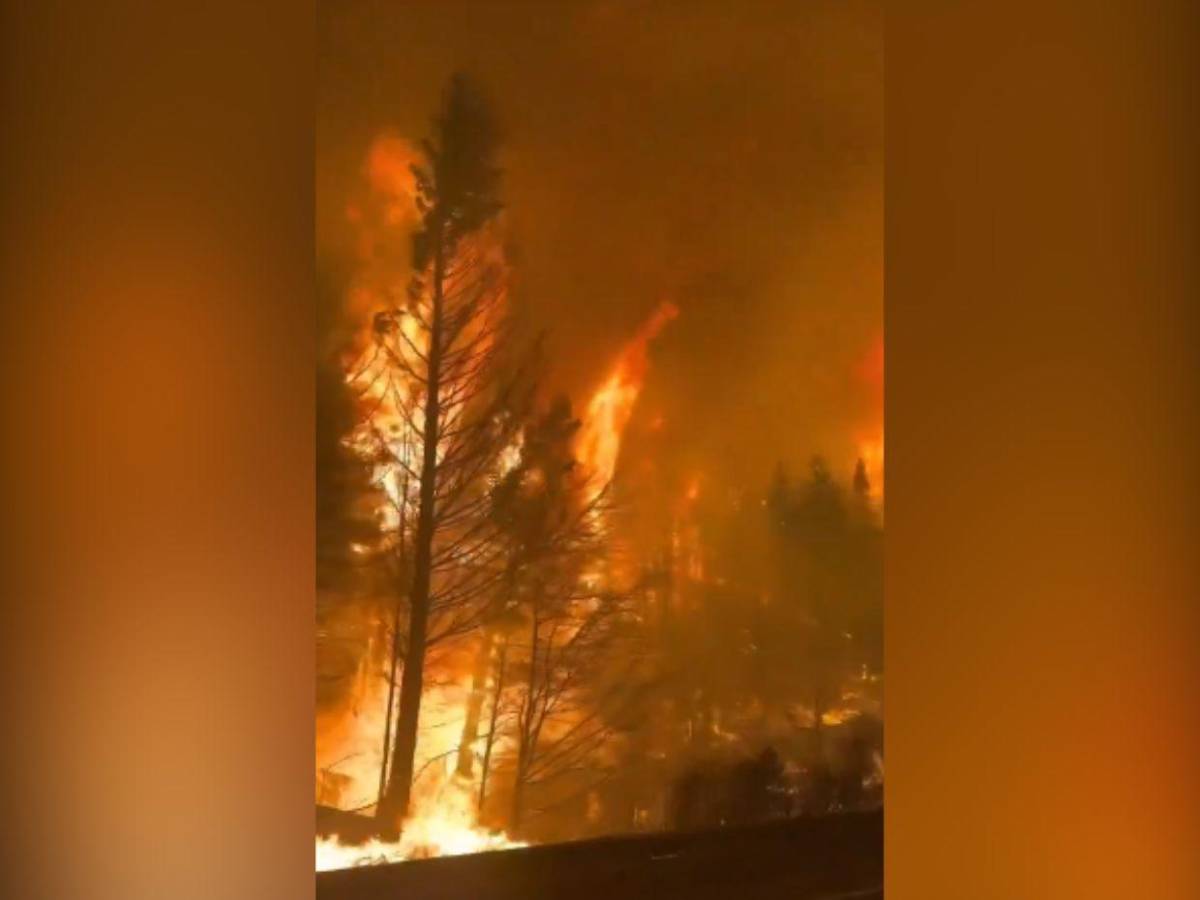 Imágenes de la Patagonia: el fuego arrasa 45,000 hectáreas y amenaza residencias