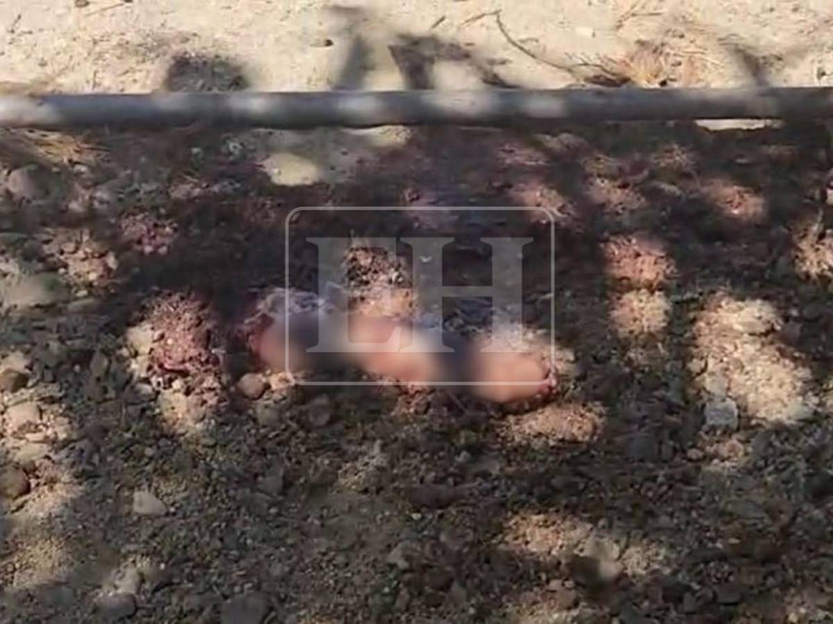 Restos de cerebro en finca de Trujillo evidencian la brutalidad con que se cometió el crimen