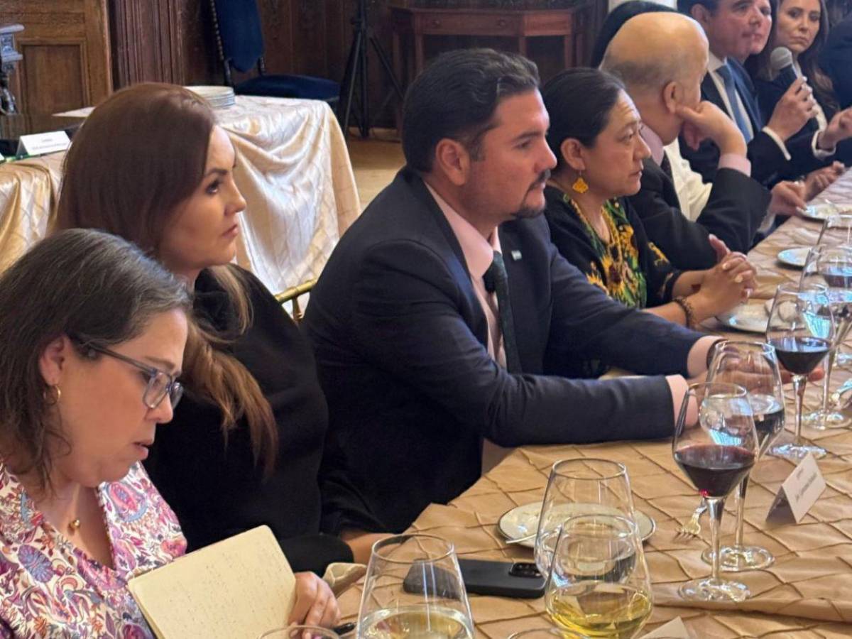 ¿Quién es Javier Bú Soto, nuevo canciller de Honduras nombrado por Xiomara Castro?