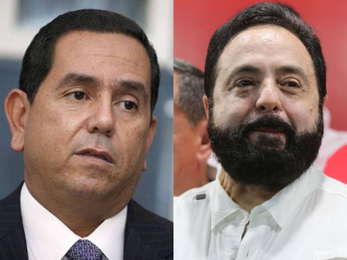 Diputados con más de una década en el Congreso Nacional que buscan reelegirse